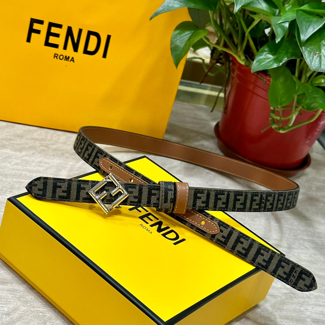 1WF186PDE Stylish  High quality belt With full package