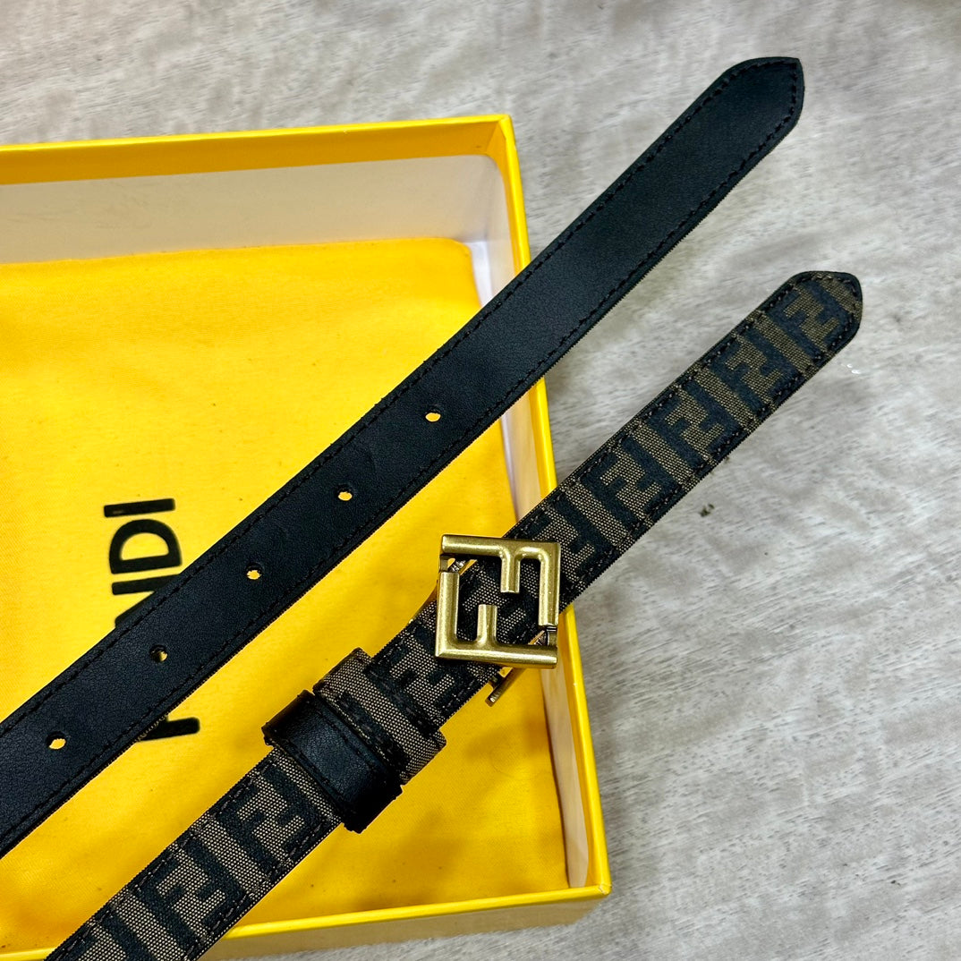 1WF187PDE Stylish  High quality belt With full package