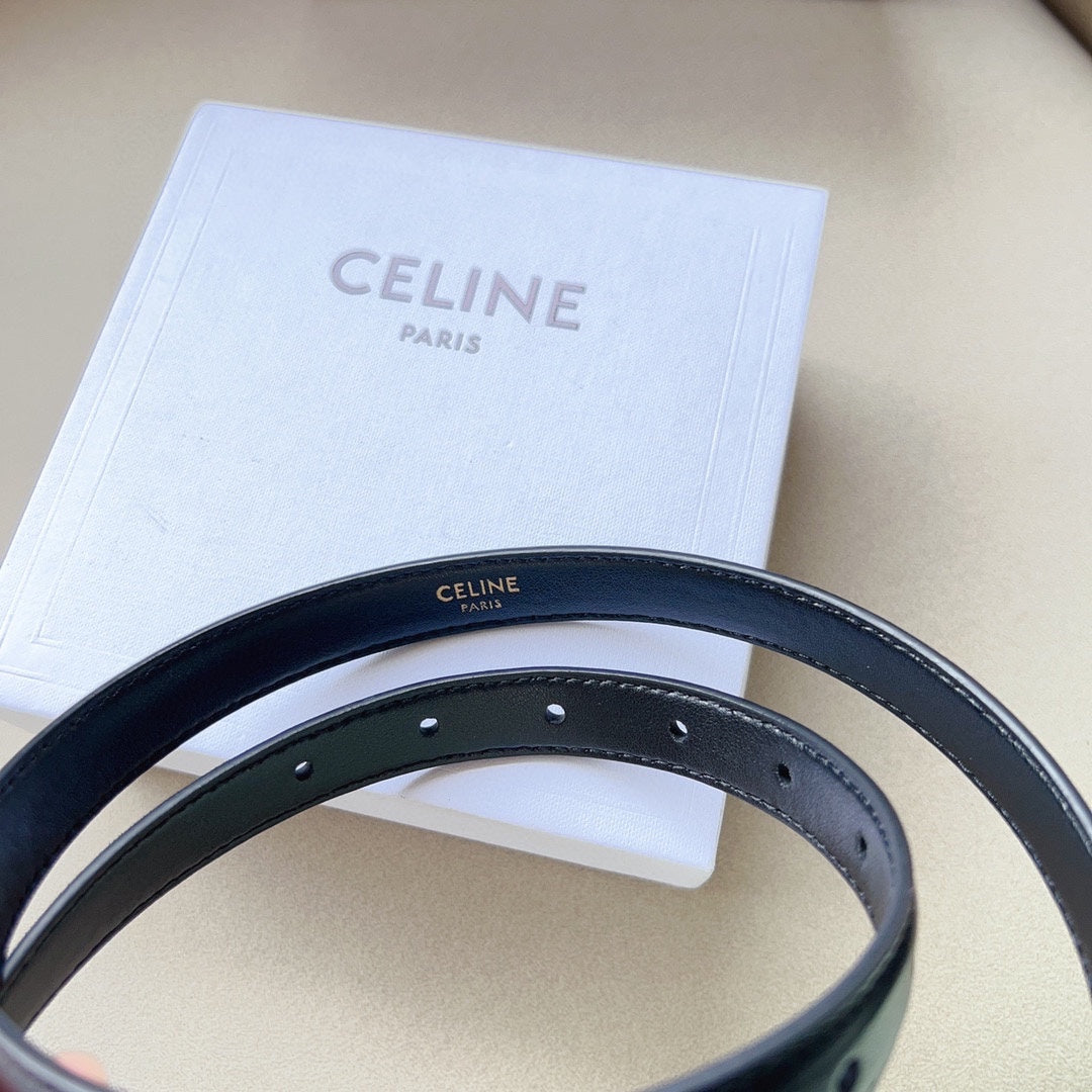 1WN178PDE Stylish  High quality belt With full package