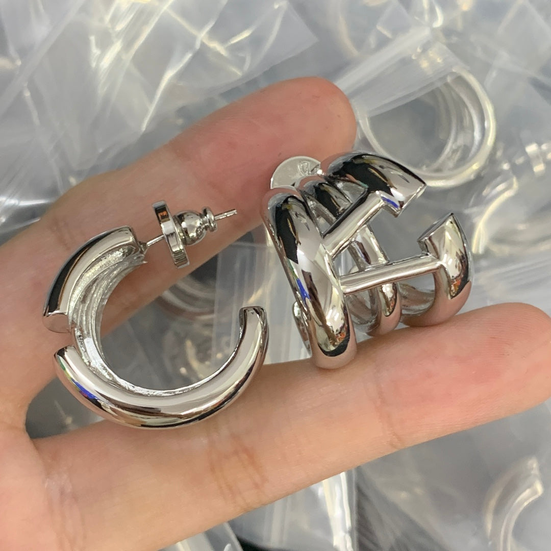 84VL21EDE Stylish Earrings