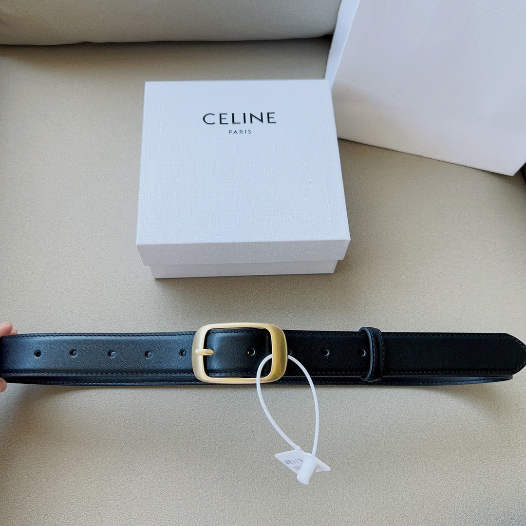 1WN180PDE Stylish  High quality belt With full package