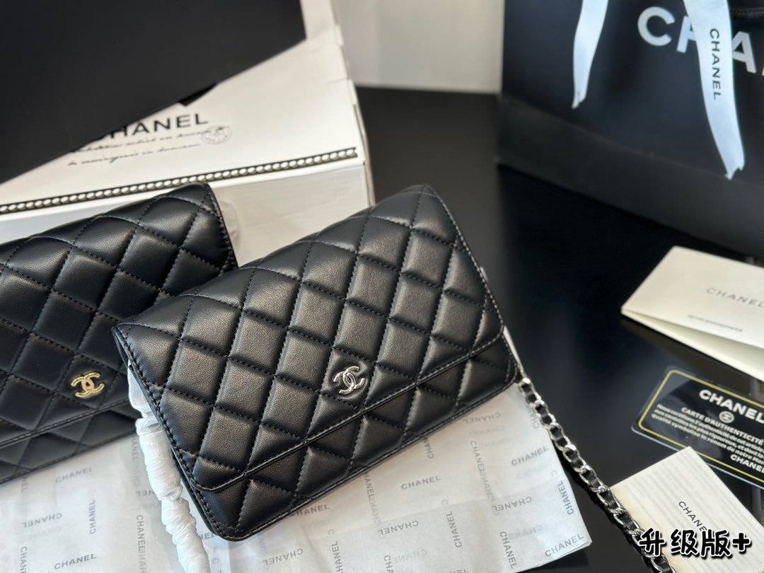 1WC67BDE Stylish leather bag