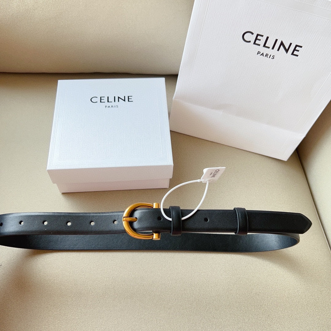 1WN178PDE Stylish  High quality belt With full package