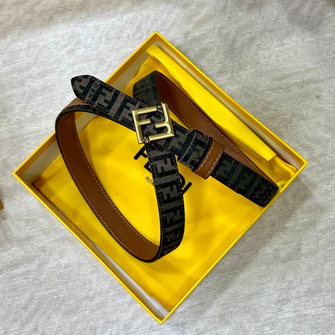 1WF186PDE Stylish  High quality belt With full package