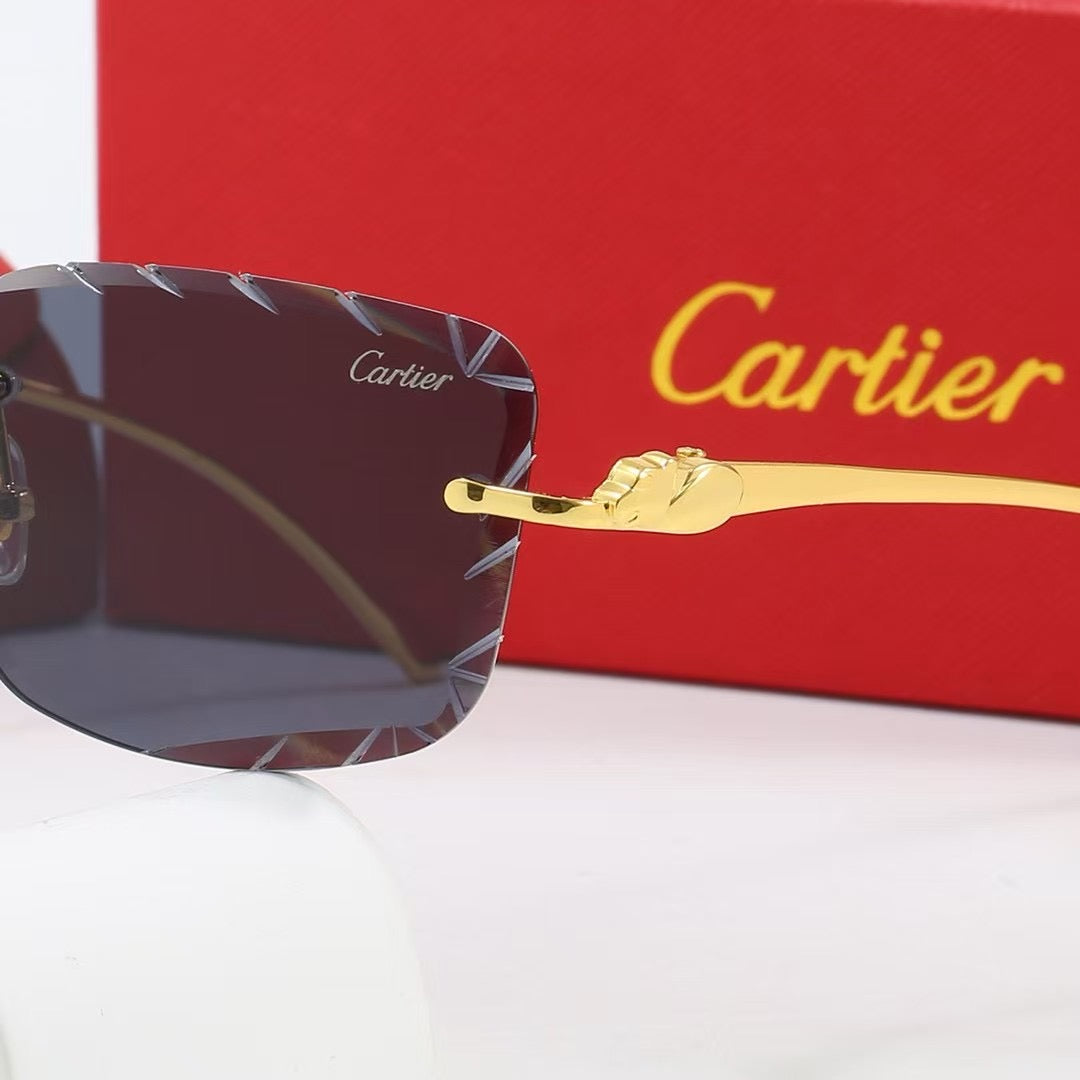 285RK6TDE Stylish  Sunglasses