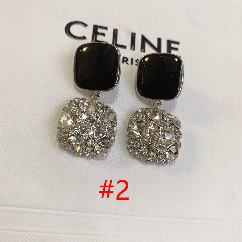 14CL202EDE Stylish Earrings