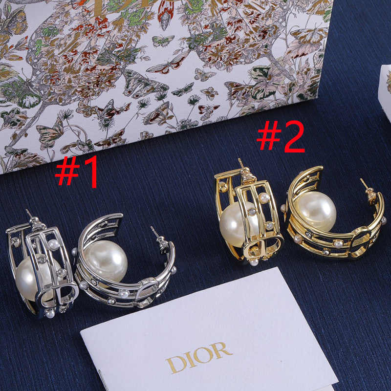 14D419EDE Stylish Earrings