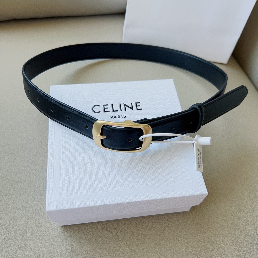 1WN180PDE Stylish  High quality belt With full package