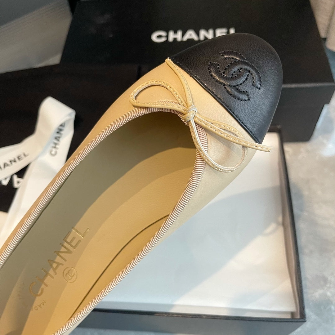 1ZC244ZDE Stylish Casual shoes