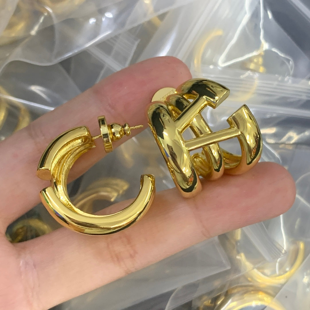 84VL21EDE Stylish Earrings