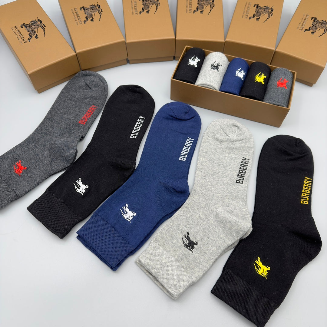 235QR24SDE Stylish socks(5 pairs )