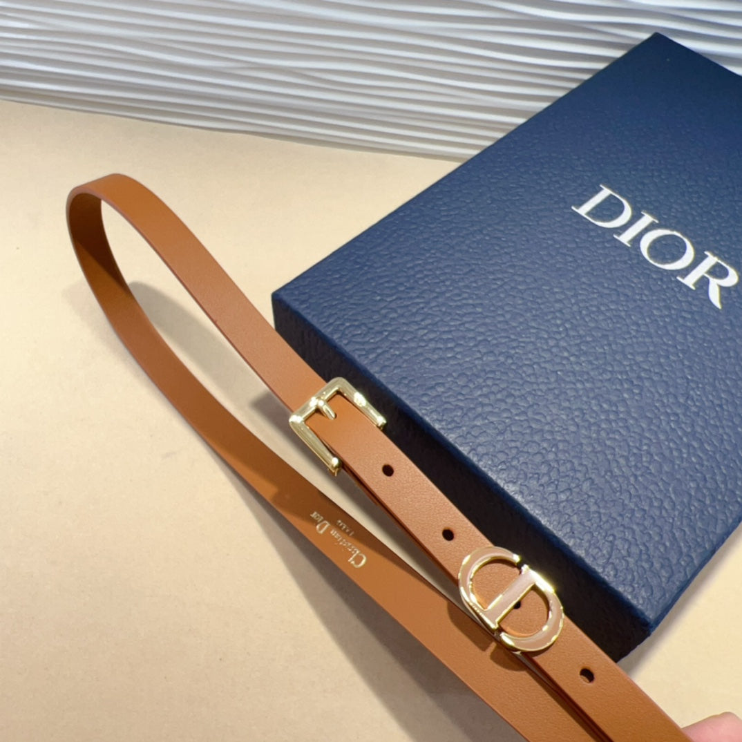 1WD181PDE Stylish  High quality belt With full package