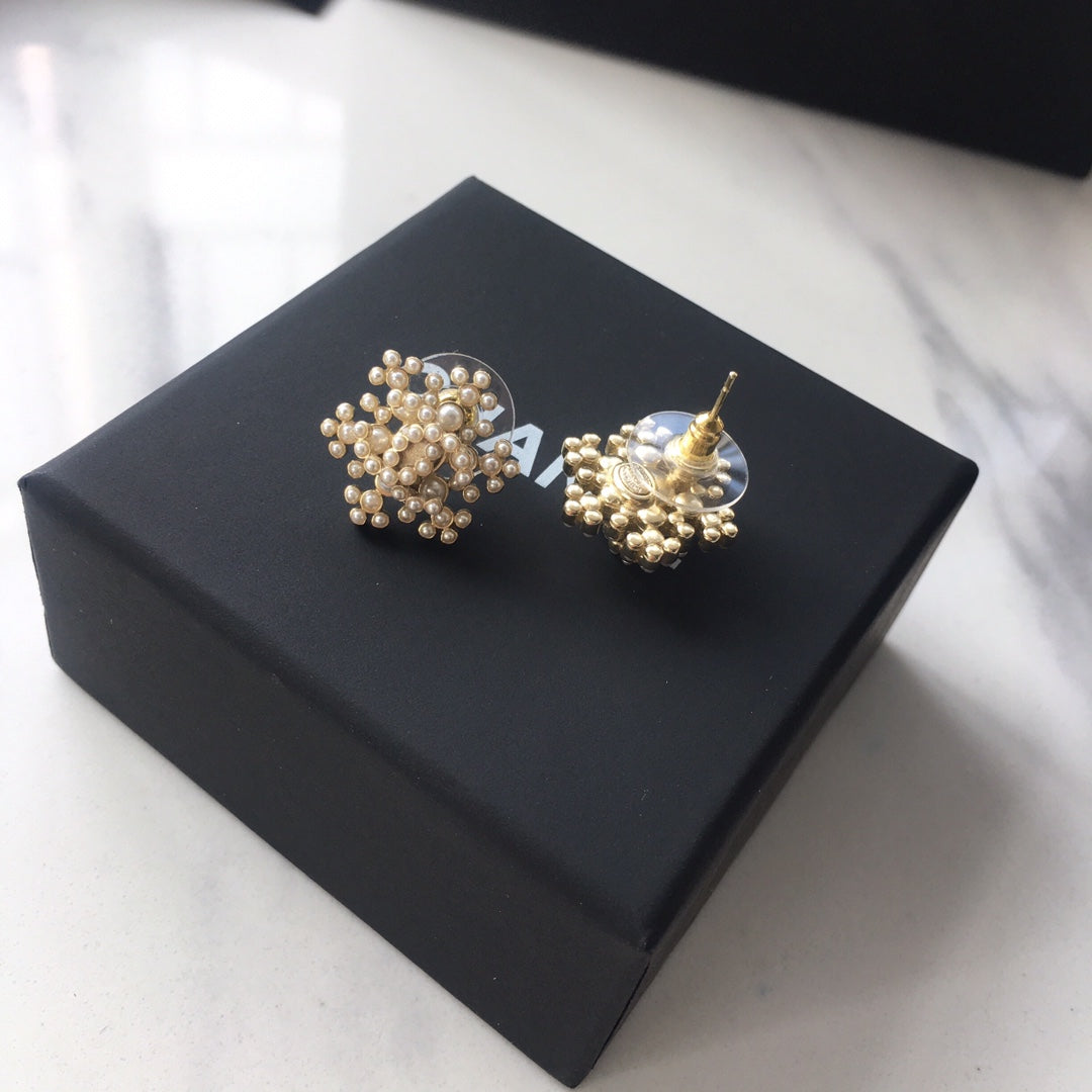 14C53EDE Stylish Earrings