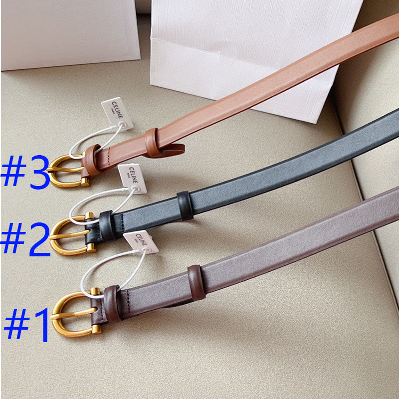1WN178PDE Stylish  High quality belt With full package