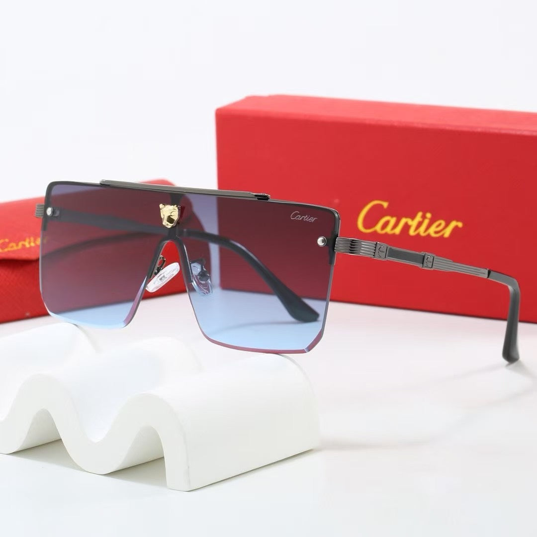285RK55TDE Stylish Sunglasses