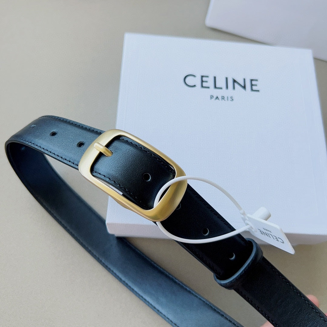 1WN180PDE Stylish  High quality belt With full package