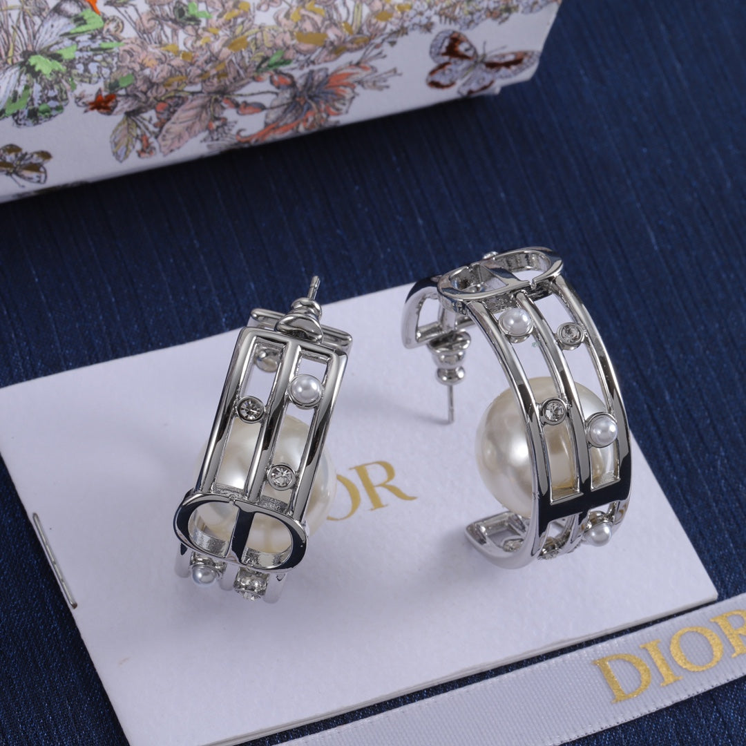 14D419EDE Stylish Earrings