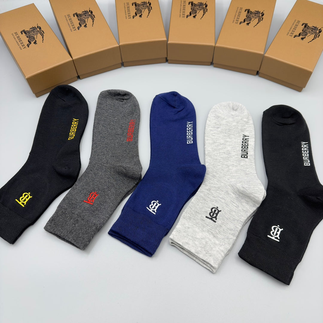 235QR25SDE Stylish socks(5 pairs )
