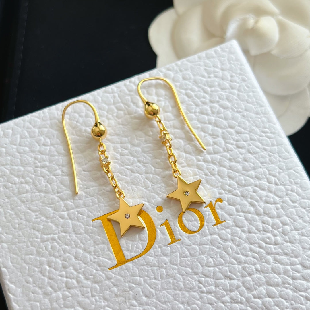 14D219EDE Stylish Earrings