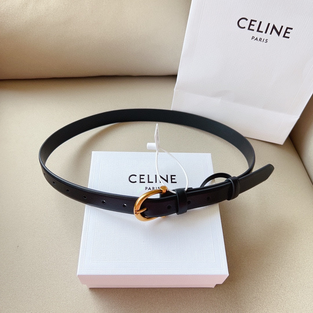 1WN178PDE Stylish  High quality belt With full package