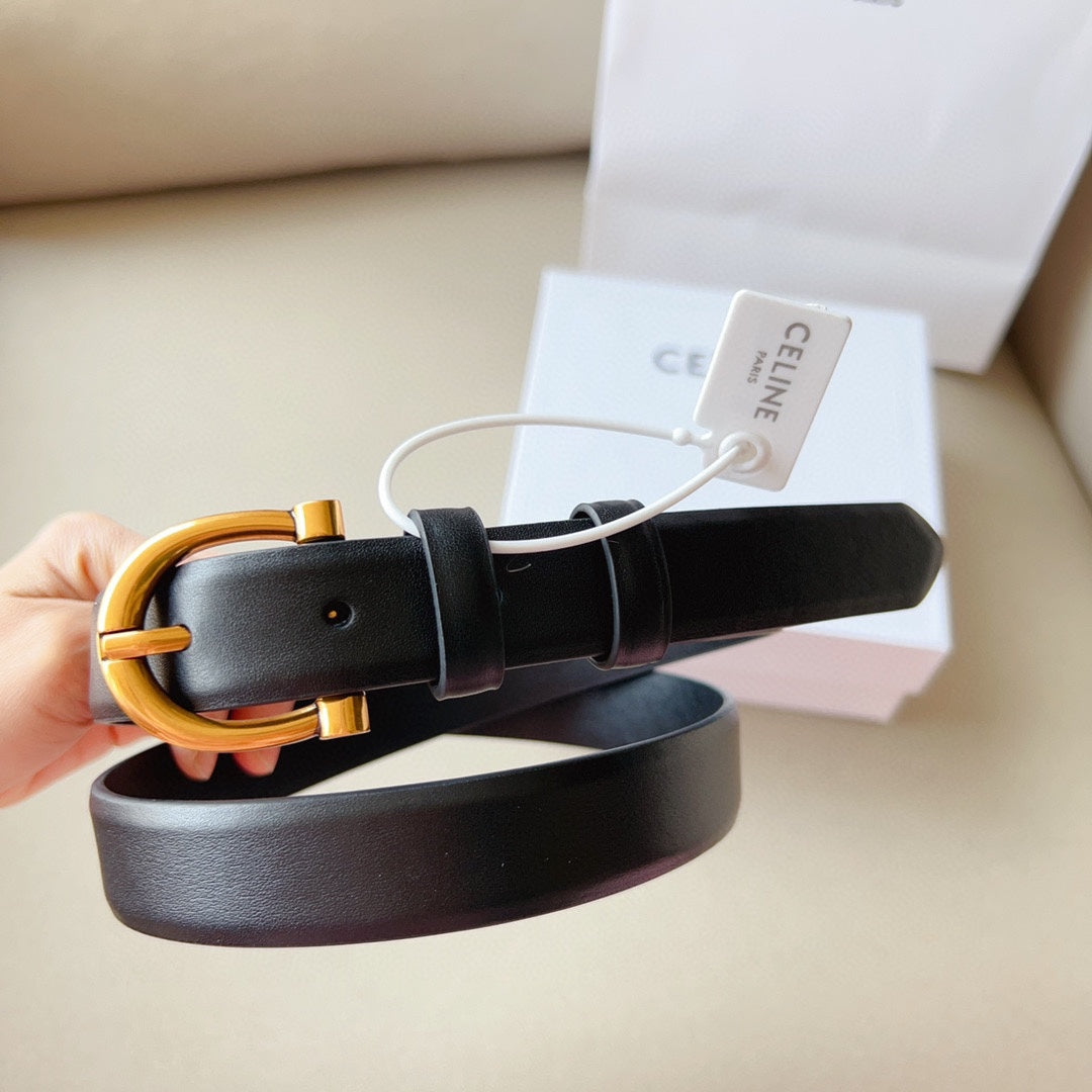 1WN178PDE Stylish  High quality belt With full package