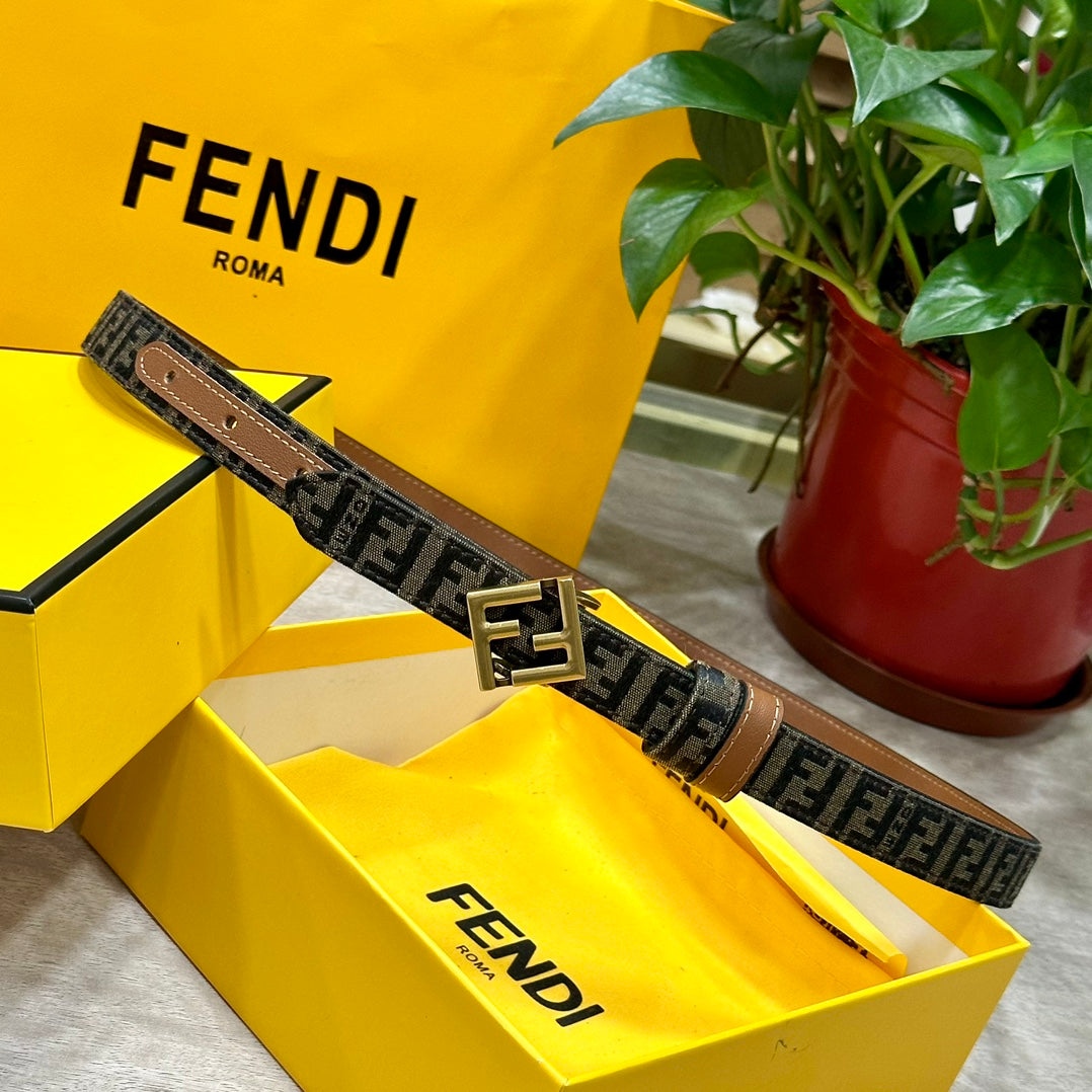 1WF186PDE Stylish  High quality belt With full package