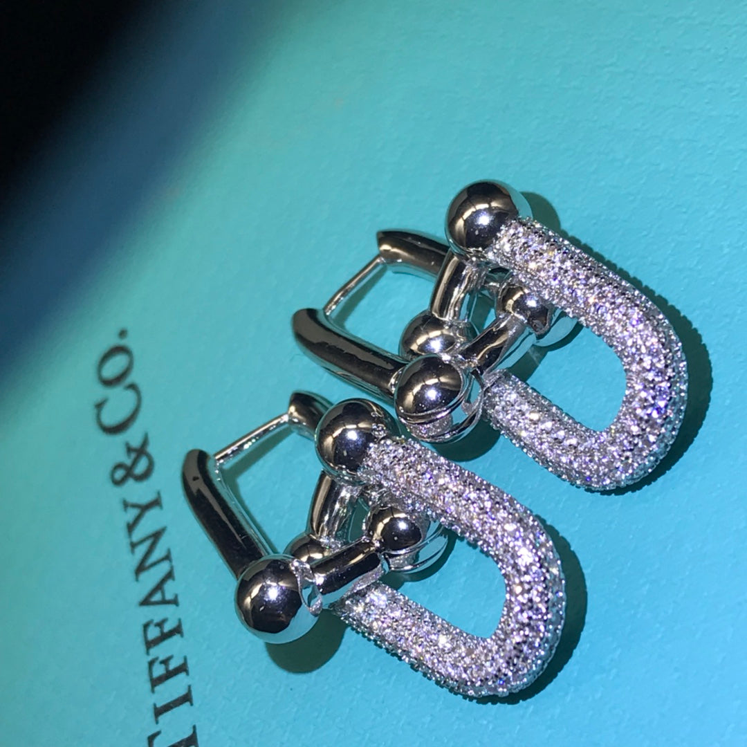 14T431EDE Stylish Earrings