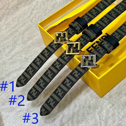 1WF187PDE Stylish  High quality belt With full package