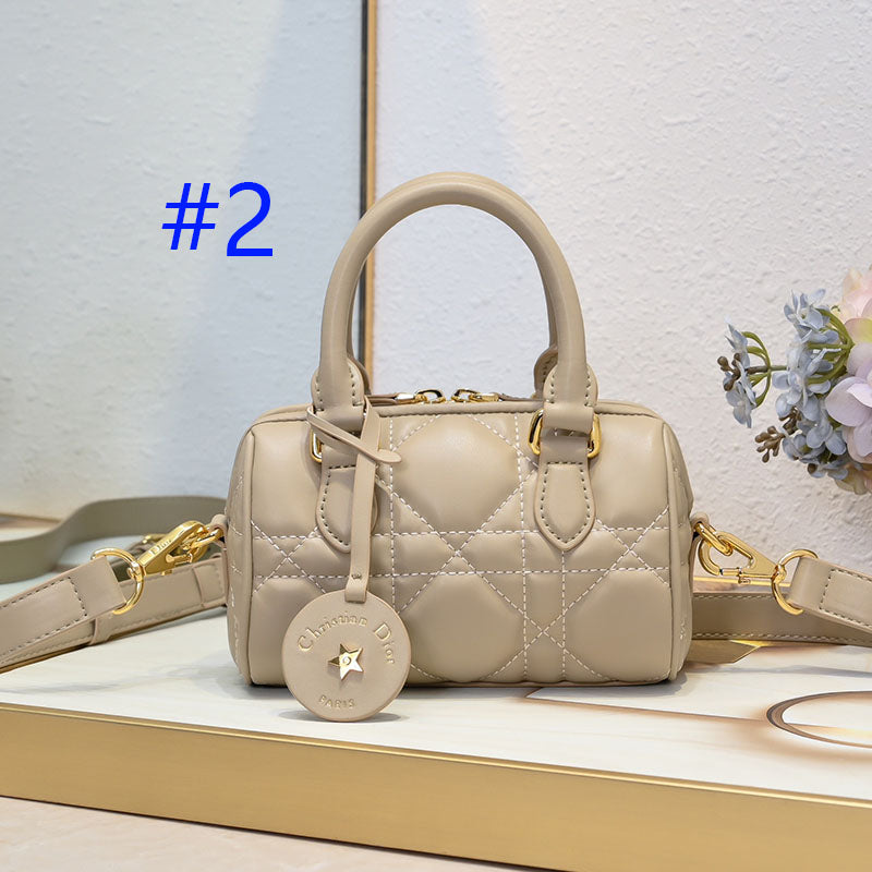 2WD32BDE Stylish leather bag