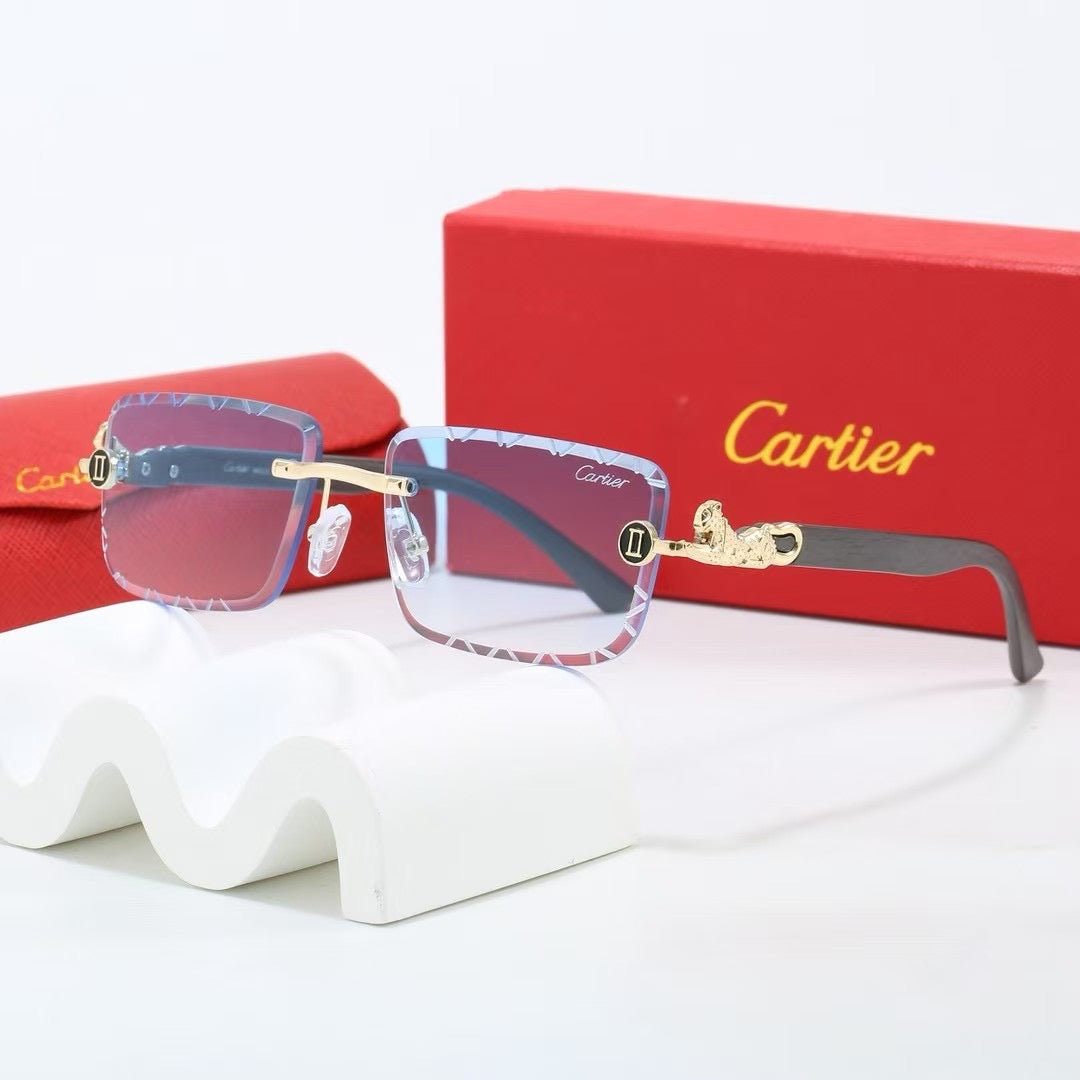 285RK65TDE Stylish Sunglasses