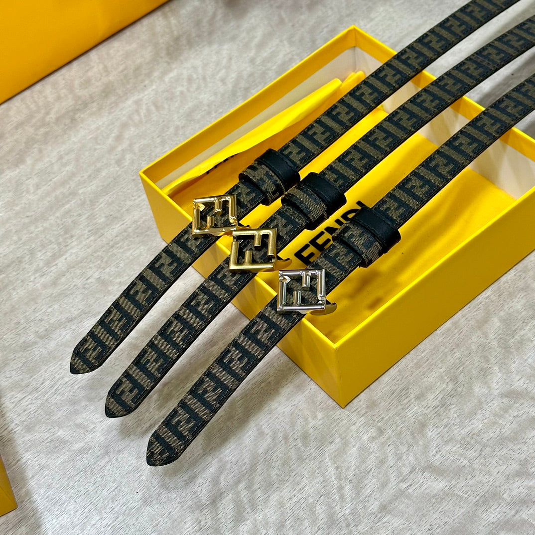 1WF187PDE Stylish  High quality belt With full package