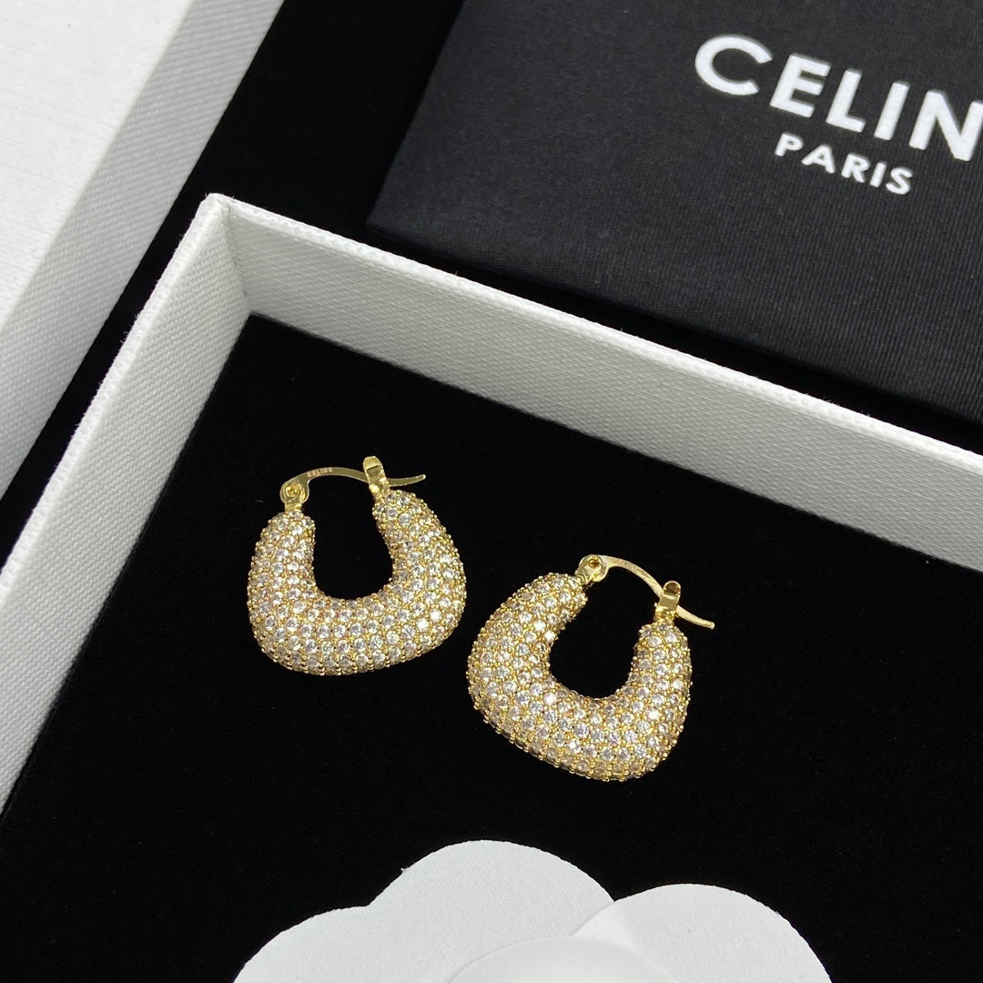 14CL245EDE Stylish Earrings