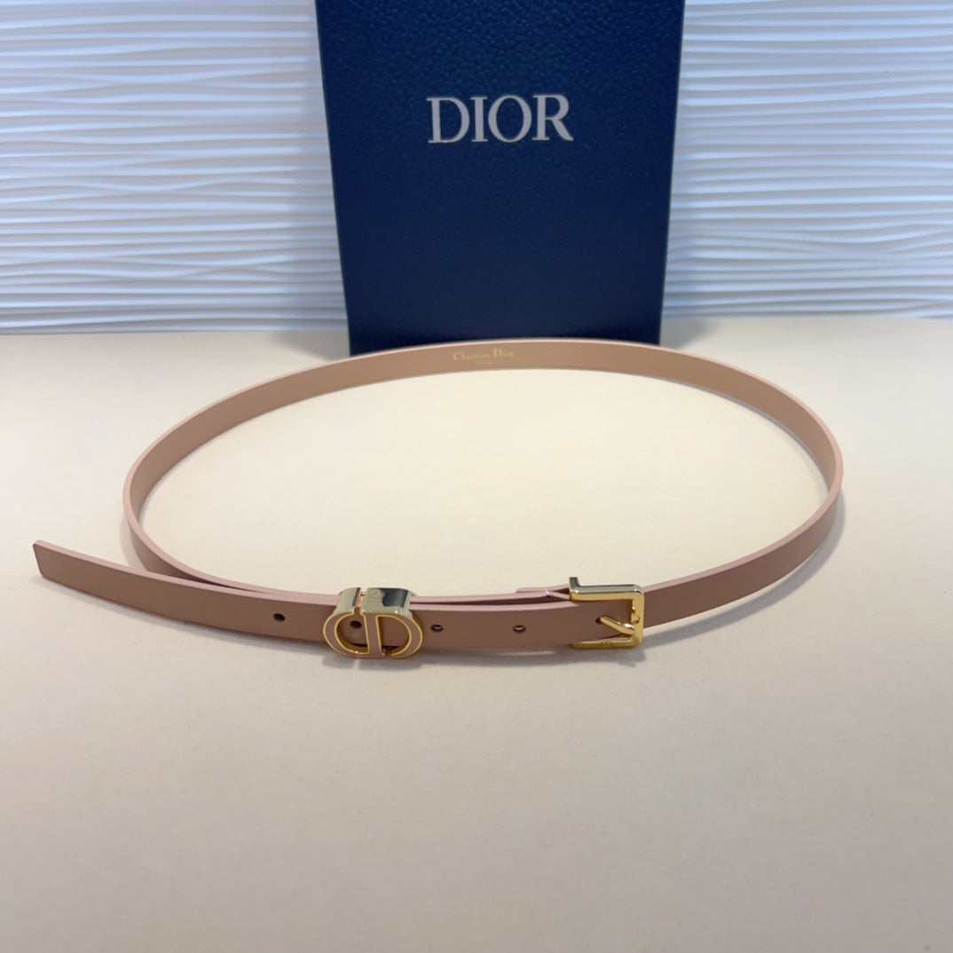 1WD181PDE Stylish  High quality belt With full package