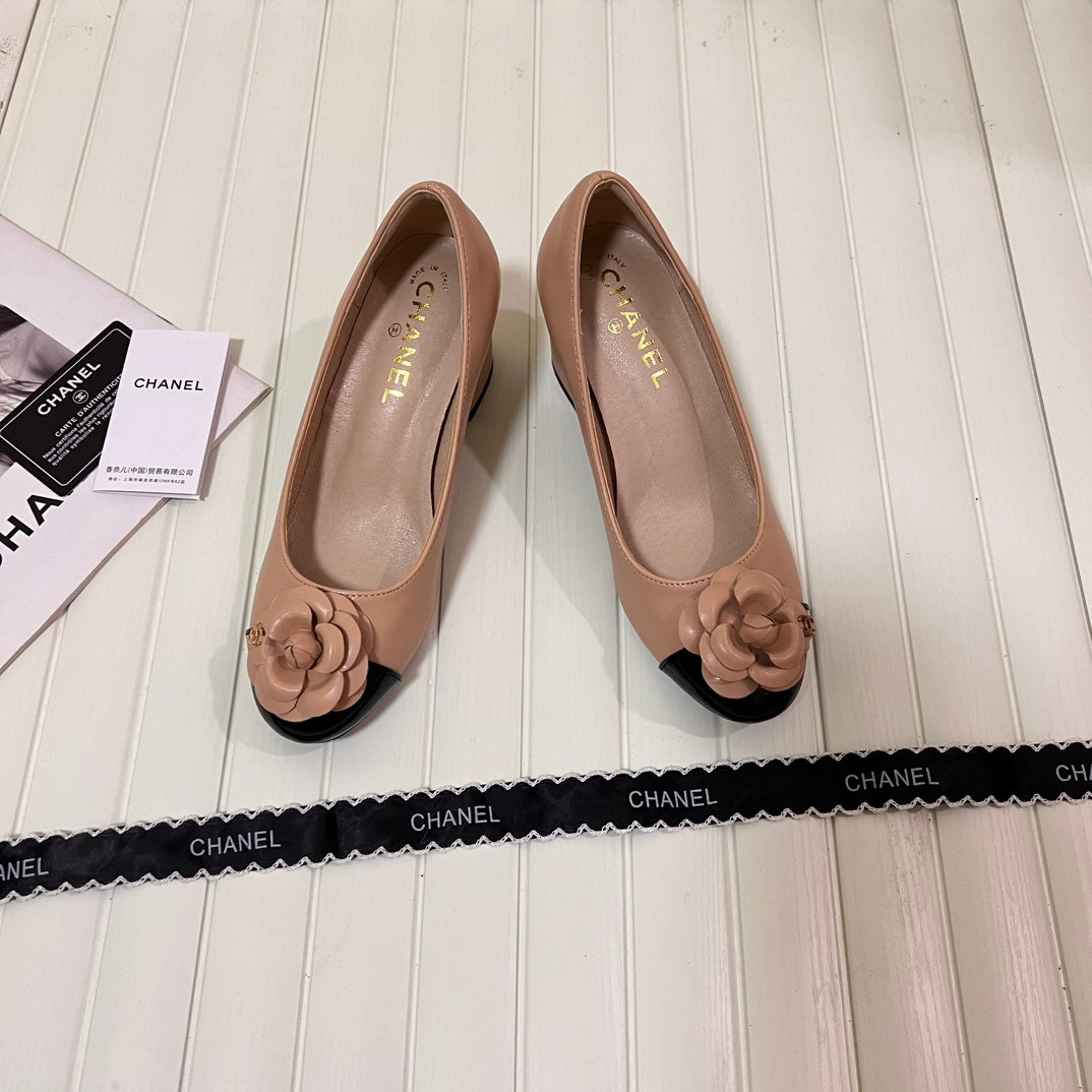 1WC267ZDE Stylish shoes