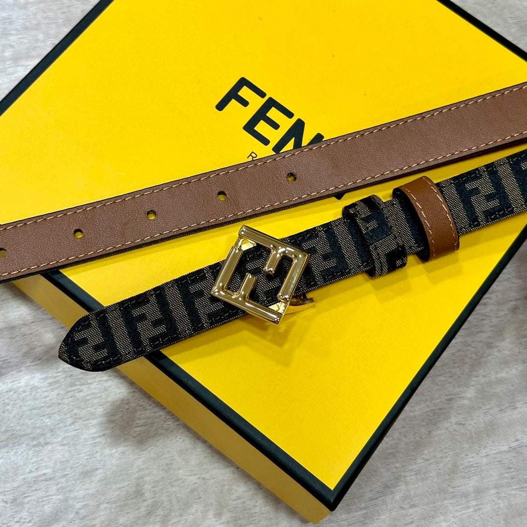 1WF186PDE Stylish  High quality belt With full package