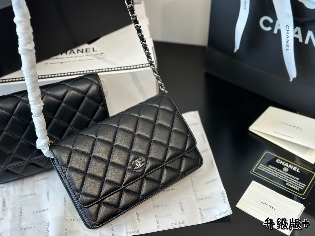 1WC67BDE Stylish leather bag