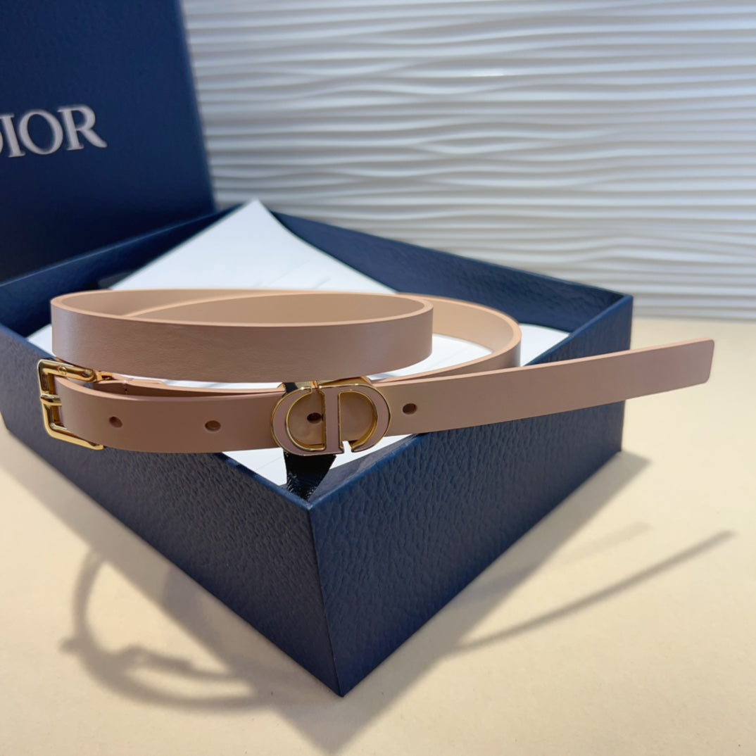 1WD181PDE Stylish  High quality belt With full package