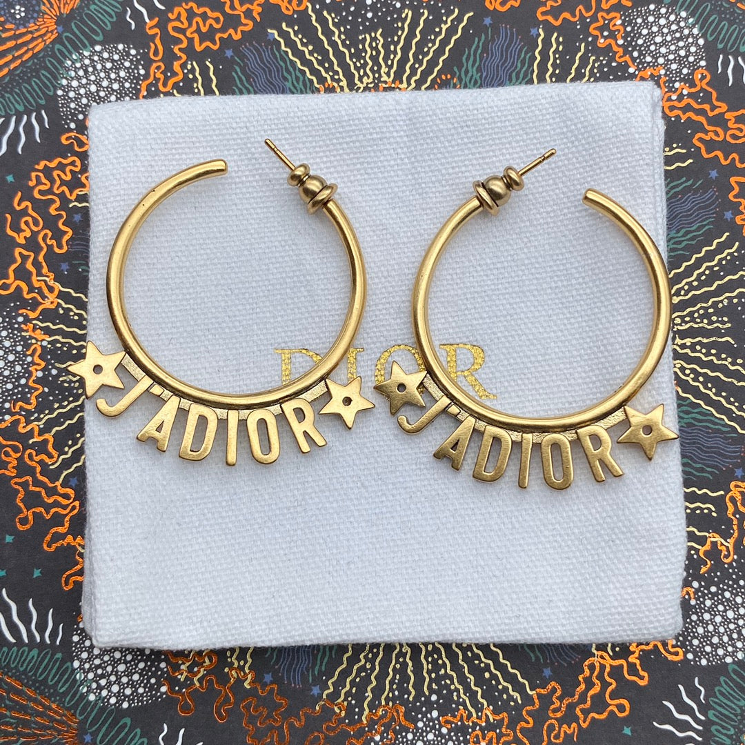 1YD241EDE Stylish Earrings