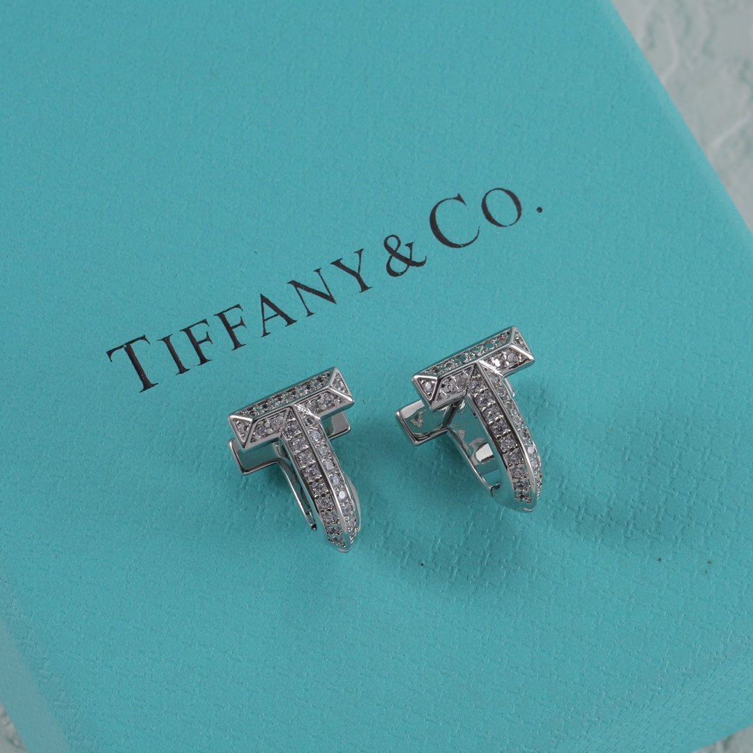 15NT2EDE Stylish Earrings