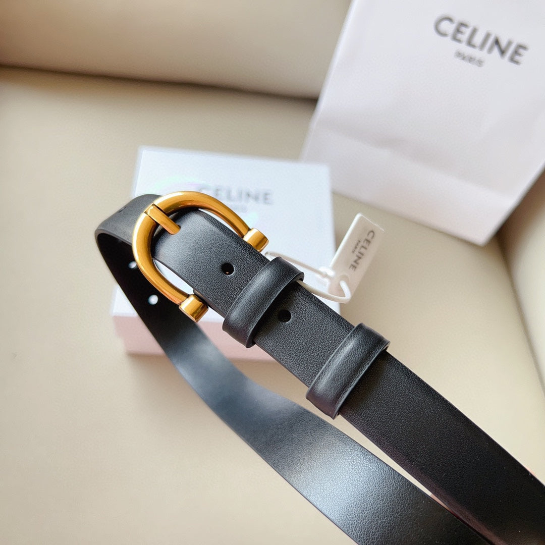 1WN178PDE Stylish  High quality belt With full package