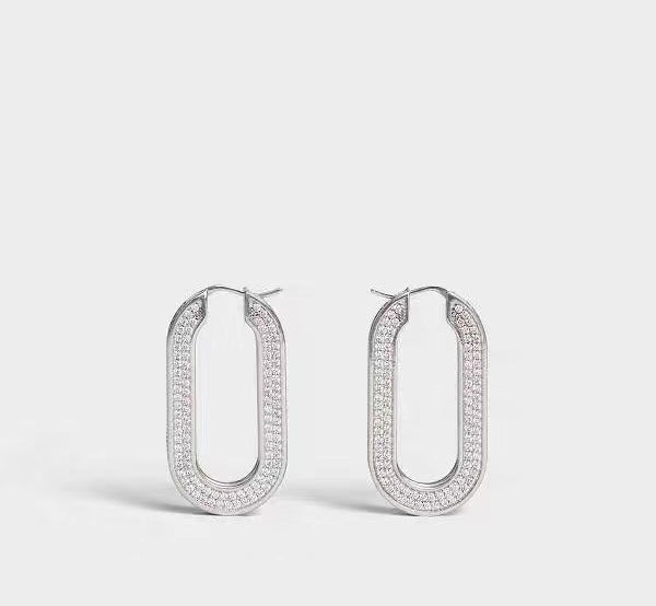 1XCL559XDE Stylish Earrings