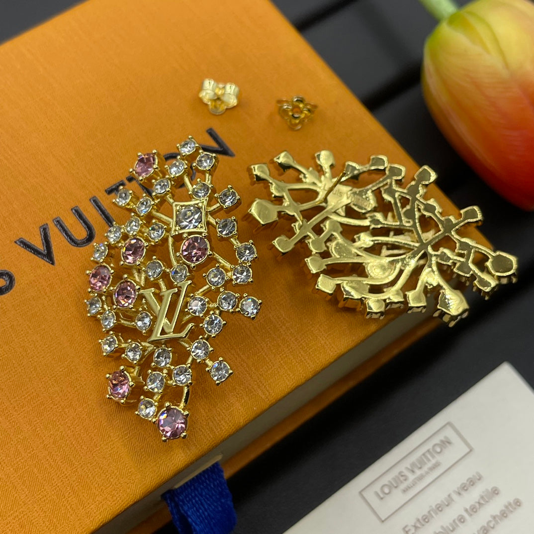 14E608EDE Stylish Earrings