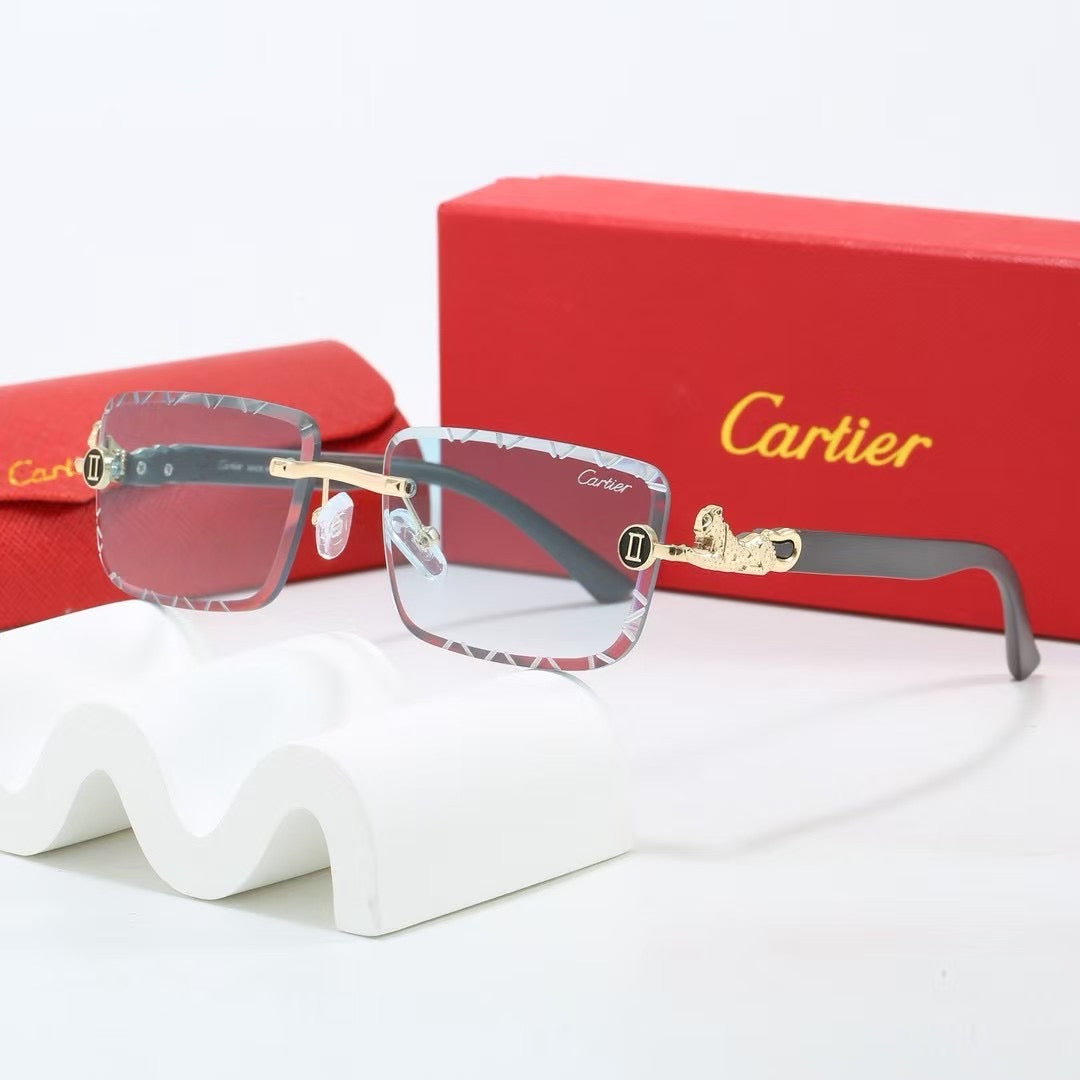 285RK65TDE Stylish Sunglasses