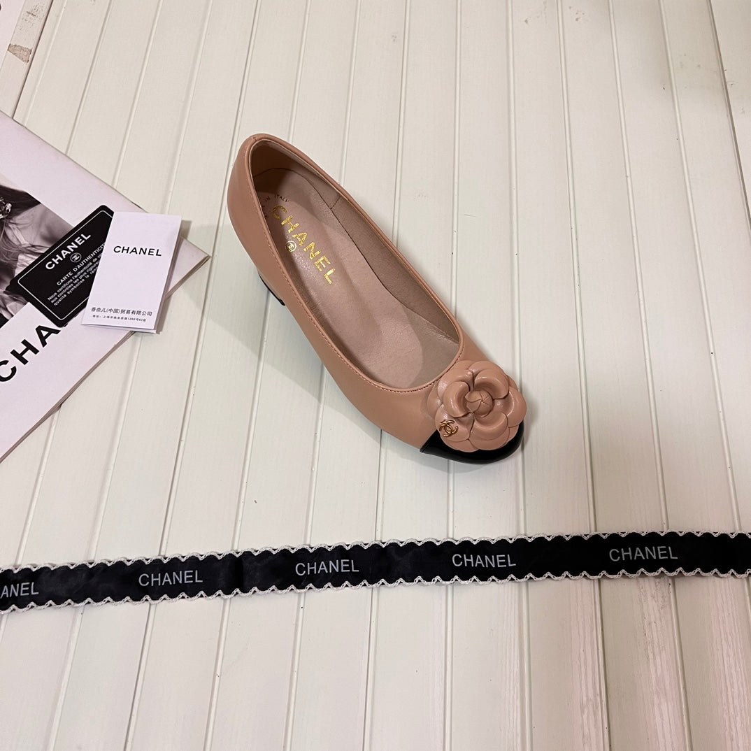 1WC267ZDE Stylish shoes
