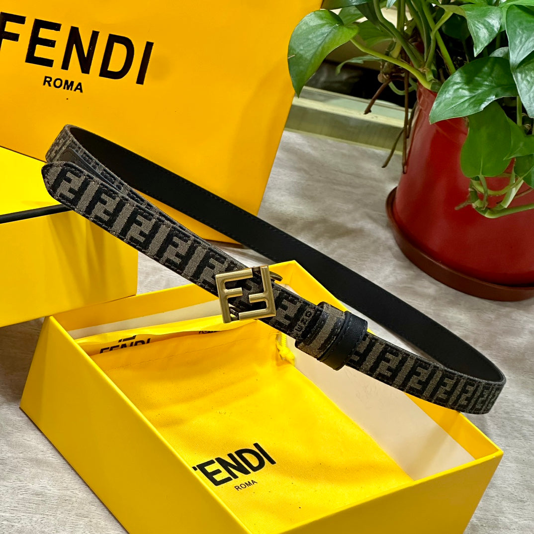 1WF187PDE Stylish  High quality belt With full package