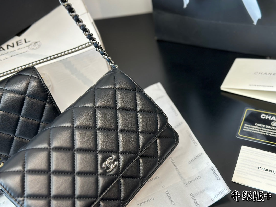 1WC67BDE Stylish leather bag