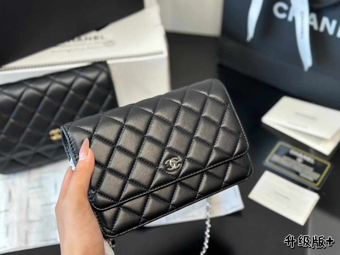 1WC67BDE Stylish leather bag