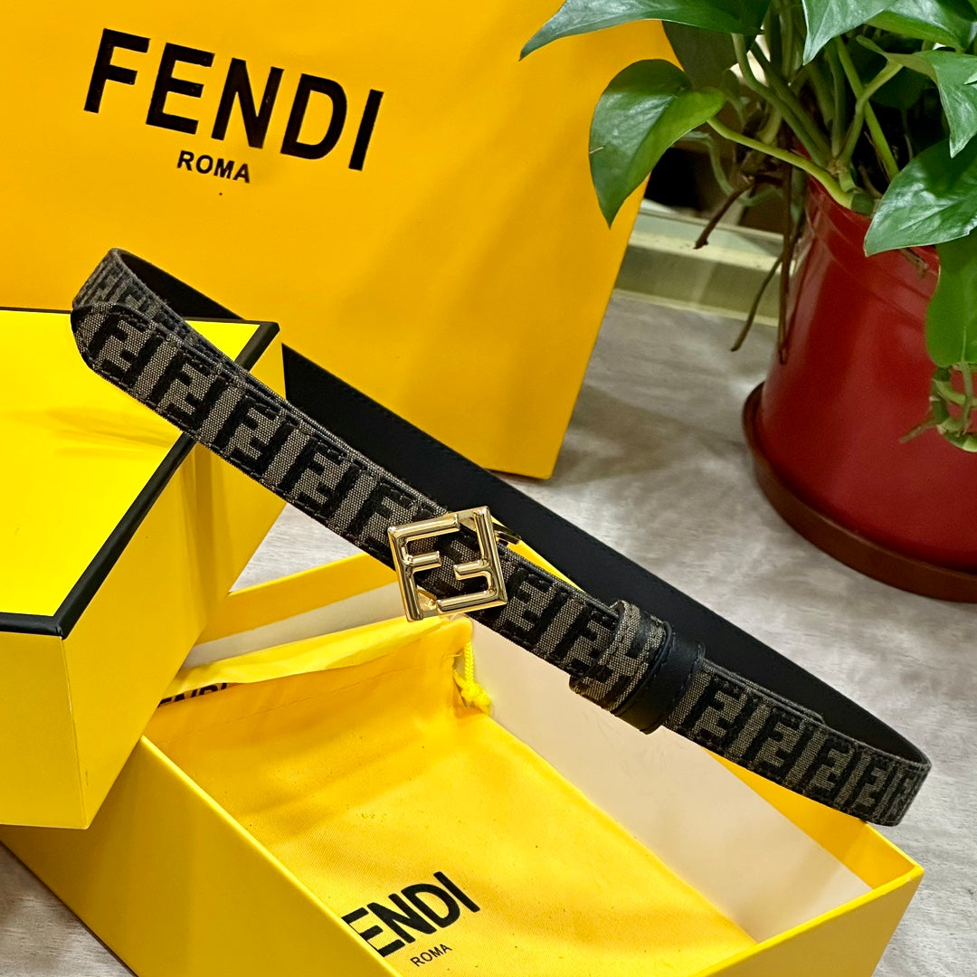 1WF187PDE Stylish  High quality belt With full package
