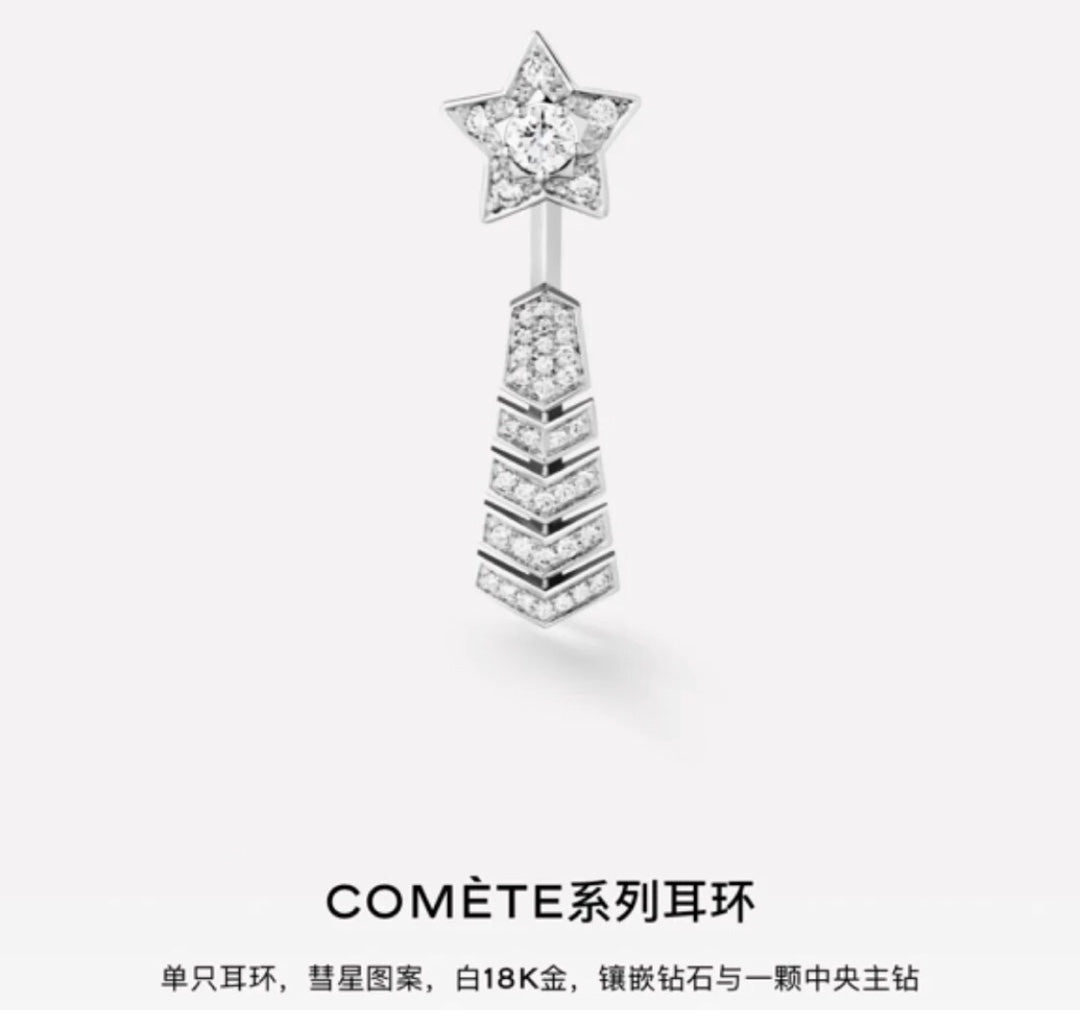 1YC397EDE Stylish Earrings