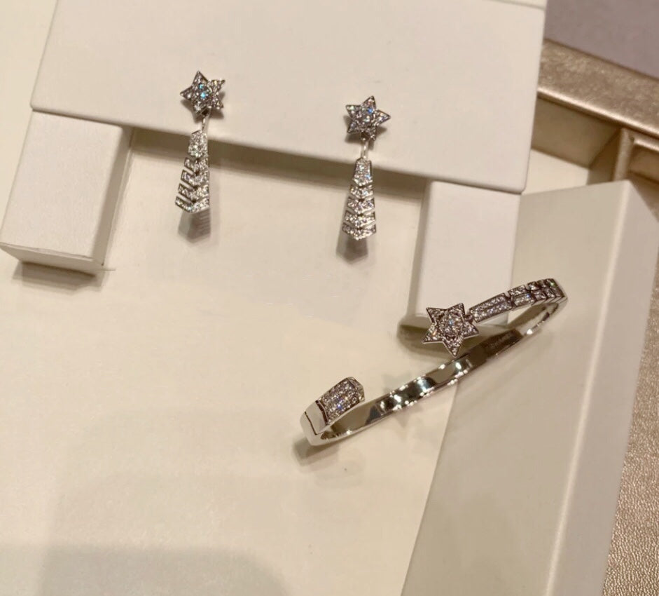 1YC397EDE Stylish Earrings